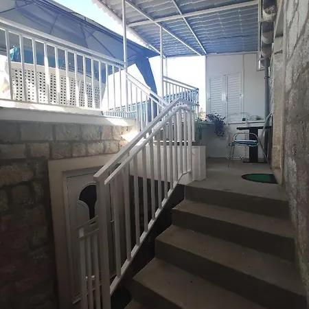 Viola Guest house *