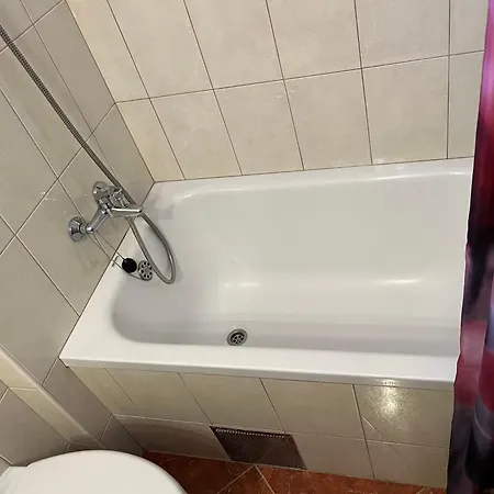 Viola Guest house