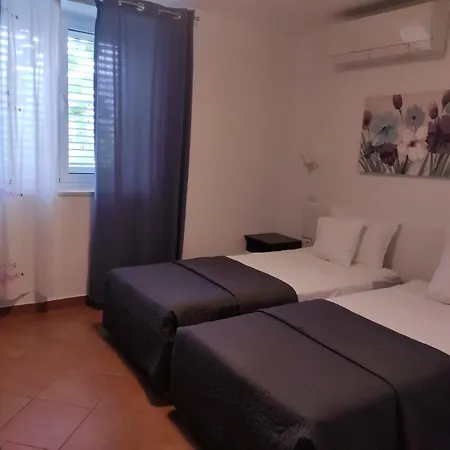 Viola Guest house *