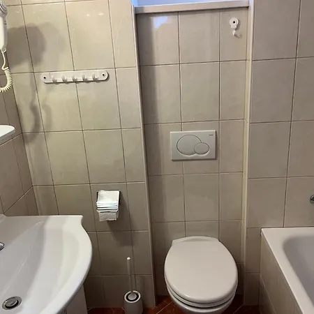 Guest house Viola 3*