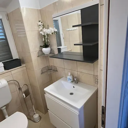 Viola Guest house *